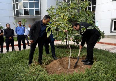 کاشت نهال در محوطه شرکت عمران ، آب و خدمات  به مناسبت روز درختکاری با حضور دکتر نظر پور