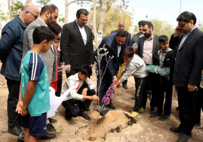 حضور مدیر عامل سازمان منطقه آزاد کیش در مراسم کاشت نهال توسط دانش آموزان به مناسبت روز درختکاری