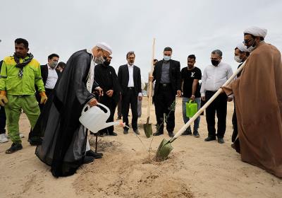 آغاز پویش کاشت ۱۲ هزار اصله کهور ایرانی با هدف توسعه پایدار فضای سبز و حفظ محیط زیست کیش