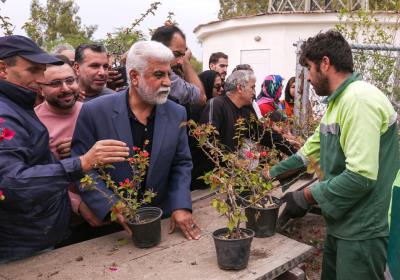 توزیع نهال رایگان در کیش به مناسبت روز درختکاری توسط شرکت عمران ، آب و خدمات 