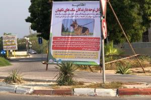 الزام شهروندان به رعایت ضوابط نگهداری حیوان خانگی ( سگ)
